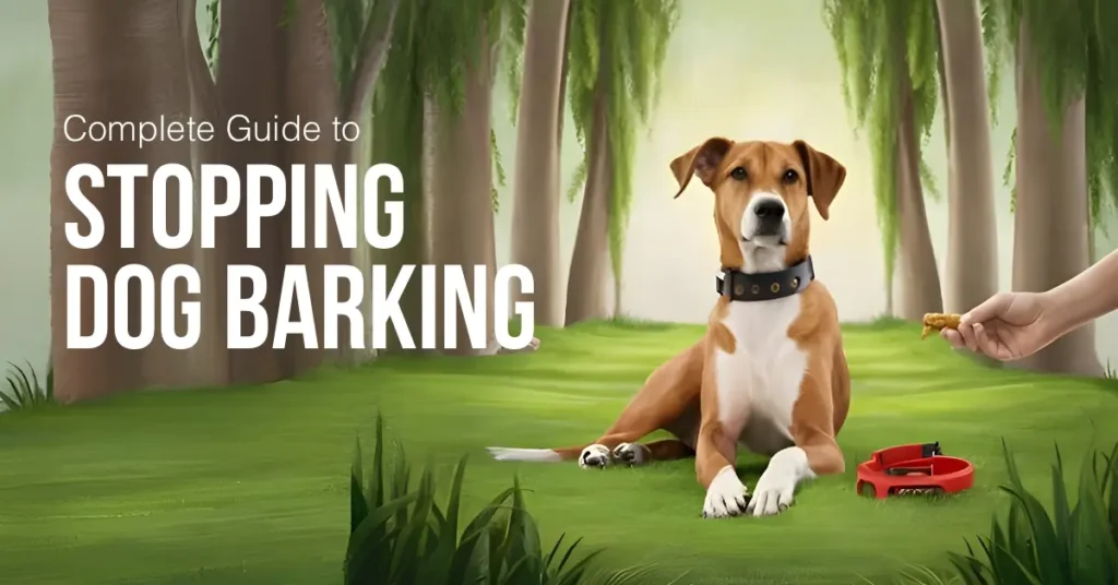 Calm dog sitting on grass with a bark collar and training treat, illustrating the Complete Guide to Stopping Dog Barking.