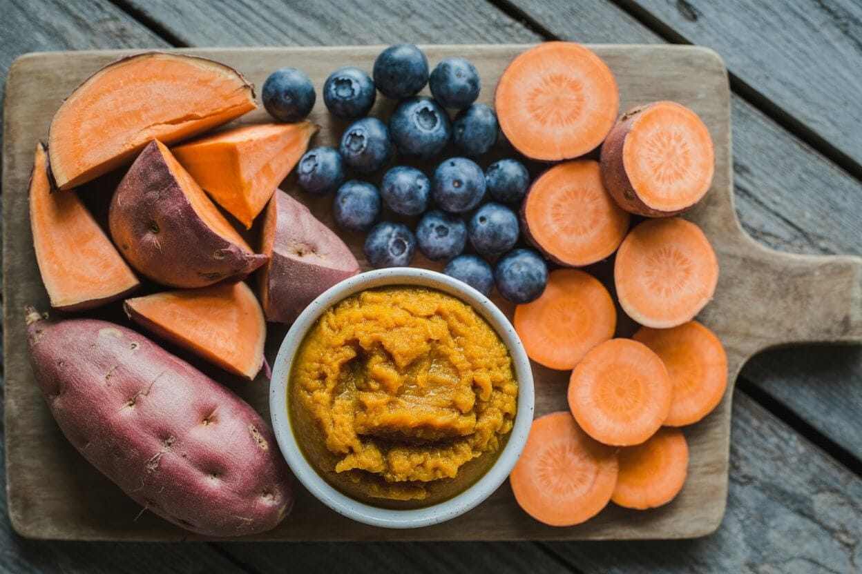 Illustration of Dog Food For Gut Inflammation