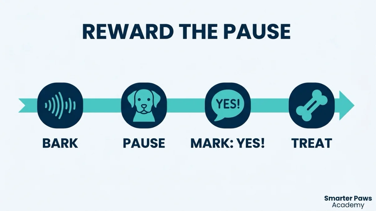 Timeline showing how to mark and reward the pause in barking to teach a quiet cue.